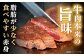 長崎県産 長崎和牛 牛肉 和牛 牛 モモ  A5ランク ステーキ 鉄板焼き