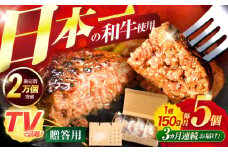 【3回定期便】ながさきふわとろハンバーグ 150g×5個入【贈答用】 / ハンバーグ はんばーぐ 肉 牛肉 豚肉 おかず 惣菜 定期便 / 諫早市 / ワールド・ミート有限会社 [AHBG002]