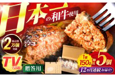 【12回定期便】ながさきふわとろハンバーグ 150g×5個入【贈答用】 / ハンバーグ はんばーぐ 肉 牛肉 豚肉 おかず 惣菜 定期便 / 諫早市 / ワールド・ミート有限会社 [AHBG004]