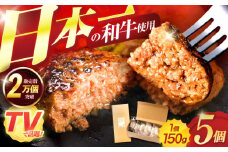 ながさきふわとろハンバーグ 150g×5個入 / ハンバーグ はんばーぐ 肉 牛肉 豚肉 おかず 惣菜 / 諫早市 / ワールド・ミート有限会社 [AHBG005]