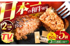【3回定期便】ながさきふわとろハンバーグ 150g×5個入 / ハンバーグ はんばーぐ 肉 牛肉 豚肉 おかず 惣菜 定期便 / 諫早市 / ワールド・ミート有限会社 [AHBG006]