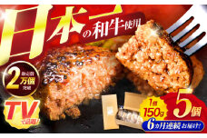 【6回定期便】ながさきふわとろハンバーグ 150g×5個入 / ハンバーグ はんばーぐ 肉 牛肉 豚肉 おかず 惣菜 定期便 / 諫早市 / ワールド・ミート有限会社 [AHBG007]