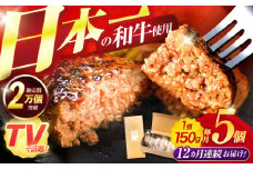【12回定期便】ながさきふわとろハンバーグ 150g×5個入 / ハンバーグ はんばーぐ 肉 牛肉 豚肉 おかず 惣菜 定期便 / 諫早市 / ワールド・ミート有限会社 [AHBG008]