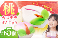 【長崎縁起菓子】桃カステラ2個・桃まんじゅう3個 詰合せ（小）/ カステラ かすてら まんじゅう 桃の節句 ひな祭り / 諫早市 / 株式会社梅月堂 [AHBN007]