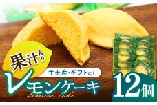 長崎レモンケーキ 12個入 / ケーキ けーき レモン れもん レモンケーキ スイーツ おやつ / 諫早市 / 株式会社梅月堂 [AHBN010]