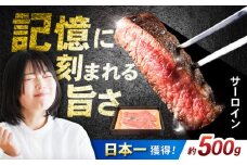 長崎和牛 サーロインステーキ 約250g×2枚 / 牛肉 ぎゅうにく 和牛 国産牛 肉 にく ステーキ すてーき サーロイン / 諫早市 / 肉の牛長 諫早店 [AHEM001]