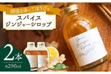 スパイスジンジャーシロップ(290ml×2本) / ジンジャー シロップ 自家製 生姜 自然 暮らし / 諫早市 / のんびり山　 [AHBA003]