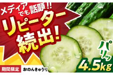 全国に『おいしいっ』を届けます！『おのんきゅうり』 4.5kg　/　きゅうり　野菜　夏野菜　新鮮　産直　/　諫早市　/　株式会社ファーム中島 [AHDL002]