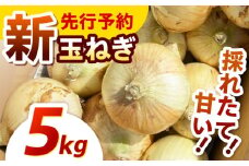 【先行予約】季節限定『新玉ねぎ』 貴錦 5kg / 玉ねぎ たまねぎ 玉葱 サラダ 新玉 しんたま 新鮮 野菜 やさい / 諫早市 / ふるさと有明ファーム [AHAQ005]