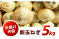 季節限定『新玉ねぎ』5kg 玉ねぎ 玉葱 サラダ 新玉 新鮮 野菜