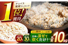 【最速発送】長崎県産 丸麦 10kg / 麦 むぎ 雑穀 雑穀米 麦ごはん 10kg 麦飯 麦みそ 食物繊維 長崎県産 米 こめ コメ ※ / 諫早市 / 有限会社伊東精麦 [AHBU005] 最速発送 スピード発送