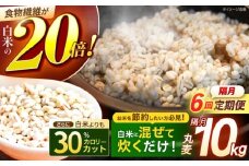 【隔月6回定期便】長崎県産 丸麦 10kg / 麦 むぎ 雑穀 雑穀米 麦ごはん 麦飯 麦みそ 食物繊維 長崎県産 米 こめ コメ ※ / 諫早市 / 有限会社伊東精麦 [AHBU007]