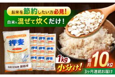 【3回定期便】押麦「長崎御島」1kg×10袋 計10kg / 麦 むぎ 押麦 はだか麦 麦味噌 雑穀 雑穀米 食物繊維 小分け 長崎県産 米 こめ コメ ※ / 諫早市 / 有限会社伊東精麦 [AHBU010]