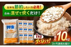 【3回定期便】押麦「長崎御島」1kg×10袋 計10kg / 麦 むぎ 押麦 はだか麦 麦味噌 雑穀 雑穀米 食物繊維 小分け 長崎県産 米 こめ コメ ※ / 諫早市 / 有限会社伊東精麦 [AHBU010]
