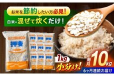 【6回定期便】押麦「長崎御島」1kg×10袋 計10kg / 麦 むぎ 押麦 はだか麦 麦味噌 雑穀 雑穀米 食物繊維 小分け 長崎県産 米 こめ コメ ※ / 諫早市 / 有限会社伊東精麦 [AHBU011]