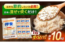 【最速発送】押麦「長崎御島」1kg×10袋 計10kg / 麦 むぎ 押麦 はだか麦 麦味噌 雑穀 雑穀米 食物繊維 長崎県産 米 こめ コメ ※ / 諫早市 / 有限会社伊東精麦 [AHBU009] 最速 スピード発送 すぐ発送