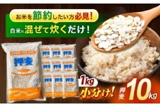 【最速発送】押麦「長崎御島」1kg×10袋 計10kg / 麦 むぎ 押麦 はだか麦 麦味噌 雑穀 雑穀米 食物繊維 長崎県産 米 こめ コメ ※ / 諫早市 / 有限会社伊東精麦 [AHBU009] 最速 スピード発送 すぐ発送
