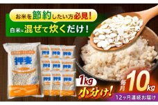 【12回定期便】押麦「長崎御島」1kg×10袋 計10kg / 麦 むぎ 押麦 はだか麦 麦味噌 雑穀 雑穀米 食物繊維 小分け 長崎県産 米 こめ コメ ※ / 諫早市 / 有限会社伊東精麦 [AHBU012]