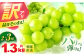 朝採れ直送！皮ごとパリッと食べられるシャインマスカット