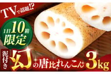 幻の唐比れんこん　3kg　/　れんこん　レンコン　蓮根　やさい　野菜　/　諫早市　/　農事組合法人スマイル・ライフ　 [AHCA003]