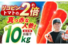 ※【2026年1月発送分／先行予約】【甘みと栄養たっぷり！】 真っ赤な人参 「紅天神」 10kg / にんじん ニンジン 人参 やさい 野菜 / 諫早市 / 滝商店株式会社 [AHCU002] 