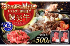 【特Aのブランド米で育てた】諫美牛 切り落とし 500g(250g×2) / 牛肉 ぎゅうにく 和牛 牛 肉 国産 切り落とし 切り落し 切りおとし / 諫早市 / 株式会社土井農場 [AHAD090]