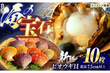 【ホタテ以上の旨味！】ヒオウギ貝 10枚(殻長7.5cm以上) / 貝 かい 魚介 ぎょかい 海鮮 かいせん 海産物 / 諫早市 / 橘湾中央漁業協同組合 [AHDP001]