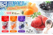 長崎冷果6袋セット（いちご・みかん・ブルーベリー）各2袋　/　冷凍　冷凍フルーツ　いちご　みかん　ブルーベリー　/　諫早市　/　エスジーエス株式会社 [AHEQ001]