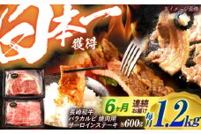 【6回定期便】長崎和牛 ステーキ・焼肉セット 600g×2パック / 牛肉 ぎゅうにく 肉 和牛 国産牛 焼き肉 やきにく ステーキ すてーき / 諫早市 / 西日本フード株式会社 [AHAV035]
