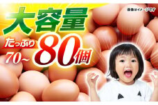 産直枇杷たまご 5kg / 卵 たまご 鶏卵 国産 玉子 枇杷 70個 80個 たっぷり 家計応援 / 諫早市 / 長崎県養鶏農業協同組合 [AHCX003]