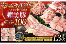 諫美豚プレミアム100おススメセット 1.3kg / 豚肉 肉 ぶたにく ロースステーキ バラ モモ ウデ ミンチ / 諫早市 / 株式会社土井農場 [AHAD072]