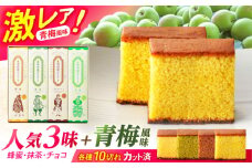 長崎街道カステラ　4本セット　/　カステラ　蜂蜜　抹茶　チョコレート　青梅　/　諫早市　/　有限会社杉谷本舗 [AHAE017]