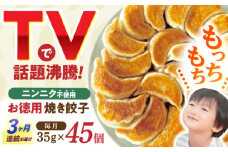 【3回定期便】《餃子のかわしも》かわしも焼き餃子お徳用45個入りパッケージ [AHBM006]
