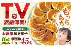 【6回定期便】《餃子のかわしも》かわしも焼き餃子お徳用45個入りパッケージ [AHBM007]