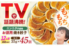 【12回定期便】《餃子のかわしも》かわしも焼き餃子お徳用45個入りパッケージ [AHBM008]