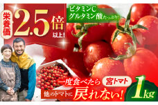 プチッと弾ける果汁「宮トマト」1kg /トマト とまと ミニトマト プチトマト 野菜 やさい / 諫早市 / [AHCG023]