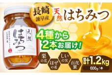  長崎県産天然はちみつ600g×2本セット / 百花蜜 百花蜂蜜 蜂蜜 はちみつ ハチミツ / 諫早市 / 坂口養蜂 [AHDB003]