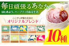 ブレンドハーブティ20g×10種詰め合わせ　/　ハーブ　ハーブティー　お試し　ペパーミント　カモミール　/　諫早市　/　一般財団法人　小長井振興公社 [AHDK003]