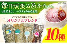 ブレンドハーブティ　50g×10種類　/　ハーブ　ハーブティー　お試し　ペパーミント　カモミール　/　諫早市　/　一般財団法人　小長井振興公社 [AHDK005]