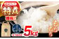 お米 米 おこめ こめ コメ 白米 精米 白ご飯 なつほのか ナツホノカ 長崎県産 長崎県産米 国産 土井農場 5kg
