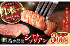 【唯一無二の贅沢！】長崎和牛 A5 シャトーブリアン 300g(150g×2) / ヒレ ひれ ヒレステーキ ステーキ すてーき しゃとーぶりあん / 諫早市 / 野中精肉店 [AHCW110]