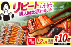【12回定期便】【諫早淡水】うなぎ蒲焼10尾 / うなぎ ウナギ 鰻 蒲焼 たれ 老舗 / 諫早市 / 諫早淡水 [AHAT023]