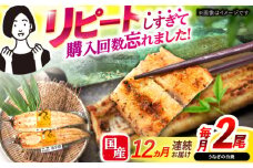 【12回定期便】【諫早淡水】うなぎ白焼き2尾  / うなぎ 白焼き 栄養価 小分け 冷凍 / 諫早市 / 諫早淡水 [AHAT047]