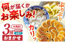 餃子 3種おまかせ便 / ギョウザ ぎょうざ 餃子 焼餃子 水餃子 冷凍 / 諫早市 / 餃子のかわしも [AHBM004]