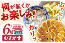 餃子 6種おまかせ便 / ギョウザ ぎょうざ 餃子 焼餃子 水餃子 冷凍 / 諫早市 / 餃子のかわしも [AHBM005]