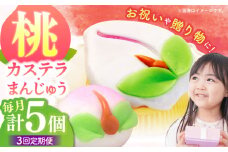 【3回定期便】【長崎縁起菓子】桃カステラ2個・桃まんじゅう3個 詰合せ（小）/ カステラ まんじゅう 桃の節句 ひな祭り / 諫早市 / 株式会社梅月堂 [AHBN025]