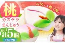 【6回定期便】【長崎縁起菓子】桃カステラ2個・桃まんじゅう3個 詰合せ（小）/ カステラ まんじゅう 桃の節句 ひな祭り / 諫早市 / 株式会社梅月堂 [AHBN026]