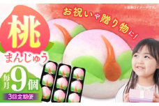【3回定期便】【長崎縁起菓子】桃まんじゅう9個入 / 桃まんじゅう まんじゅう お祝い こしあん / 諫早市 / 株式会社梅月堂 [AHBN028]