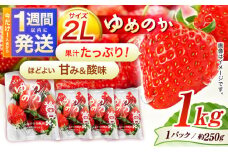 【1週間以内発送/限定数量】【贈答用でも使える】長崎いちご「ゆめのか」2Lサイズ 約250g×4パック 合計1000g /苺 イチゴ  いちご フルーツ いちご デザート ジューシー ギフト  いちご 贈り物 いちご 1kg 4P 九州 九州 九州 /諫早市/長崎県央農業協同組合Aコープ本部[AHAA033]