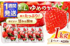 【1週間以内発送/限定数量】【家庭用に最適】長崎いちご「ゆめのか」M〜Lサイズ 約250g×4パック 合計1000g /苺 イチゴ いちご フルーツ デザート ジューシー 食卓 おやつ 1kg 4P/諫早市/長崎県央農業協同組合Aコープ本部 [AHAA034]